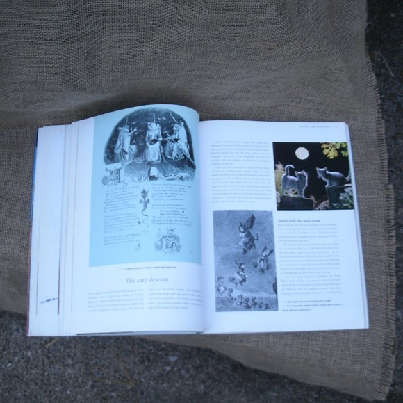 The Kingdom of the Cat by Roni Jay - Picture 7 of 16